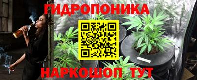 шишки Первоуральск
